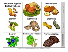 Leporello-Eichhörnchen-Ernährung-B.pdf